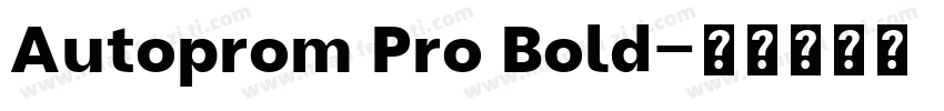 Autoprom Pro Bold字体转换